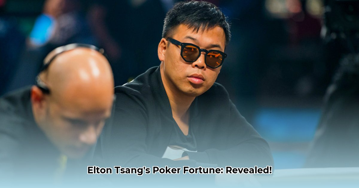 elton-tsang-net-worth